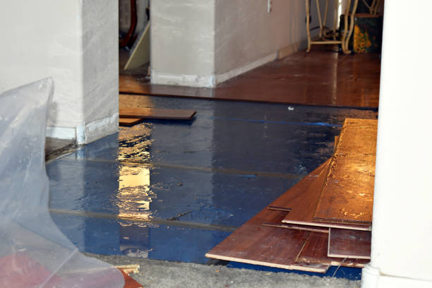 Professional Sewage Cleanup technician working in Dodd City, TX